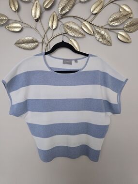 Cyrus Light Blue and White Striped Knit Top Size S Oversized